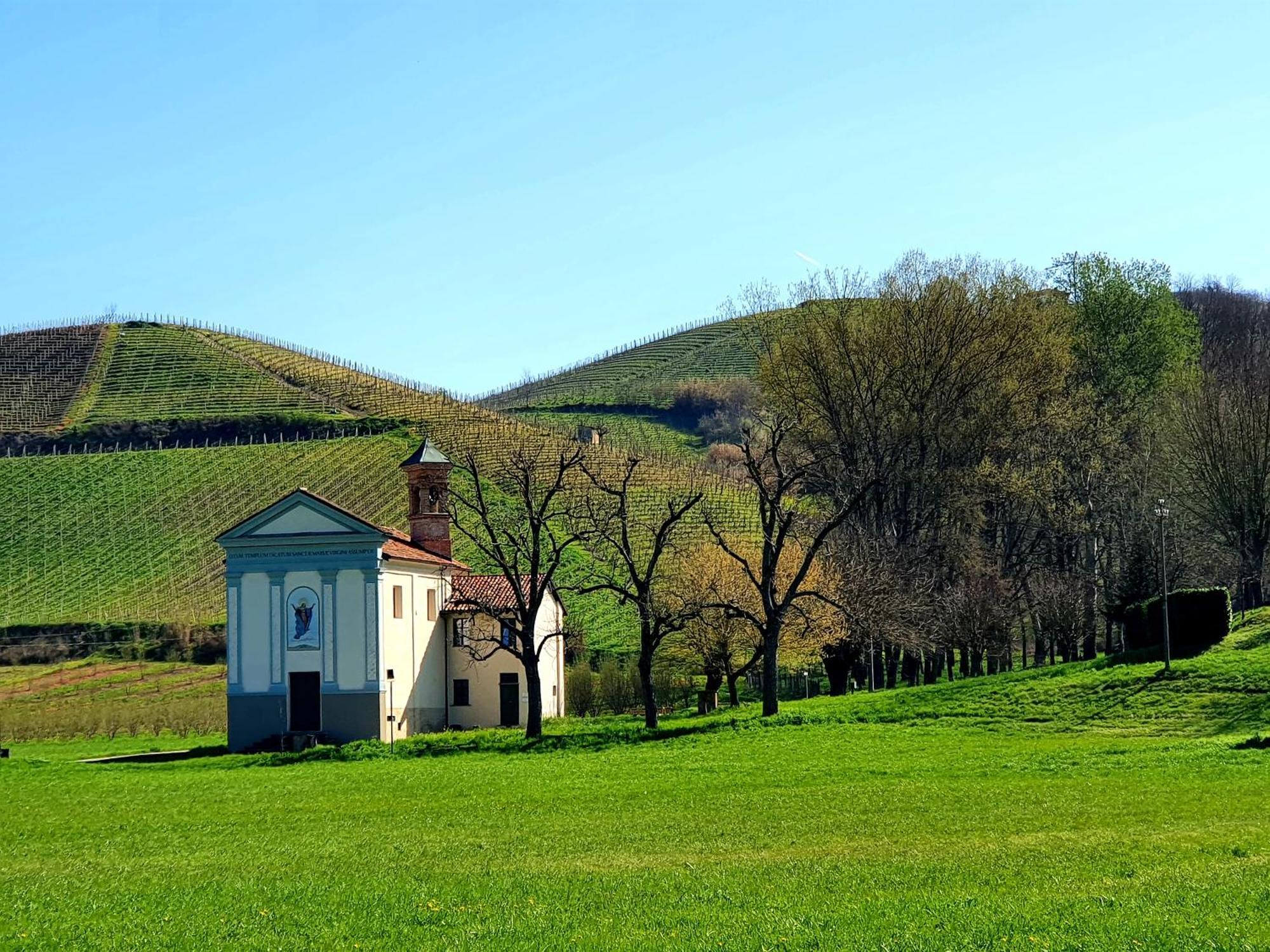 Oasi Del Monferrato - Appartamento Rosso Mombercelli Exterior photo